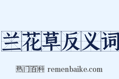兰花草反义词是什么意思的图片